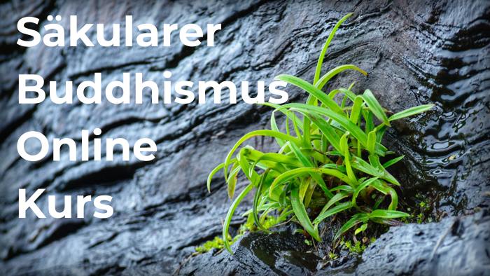Online Kurs zum Buch “Jenseits des Buddhismus”