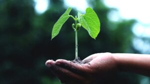 MBEL Mindfulness Based Ethical Living