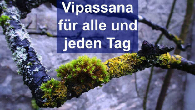 Events BuddhaStiftung