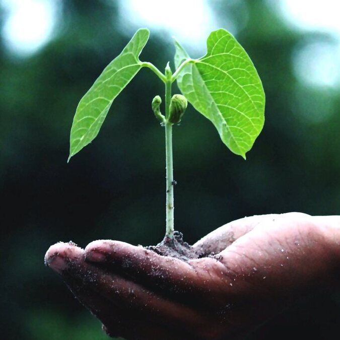 active mindful world