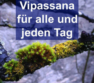 vipassana meditation-gruppe heidelberg